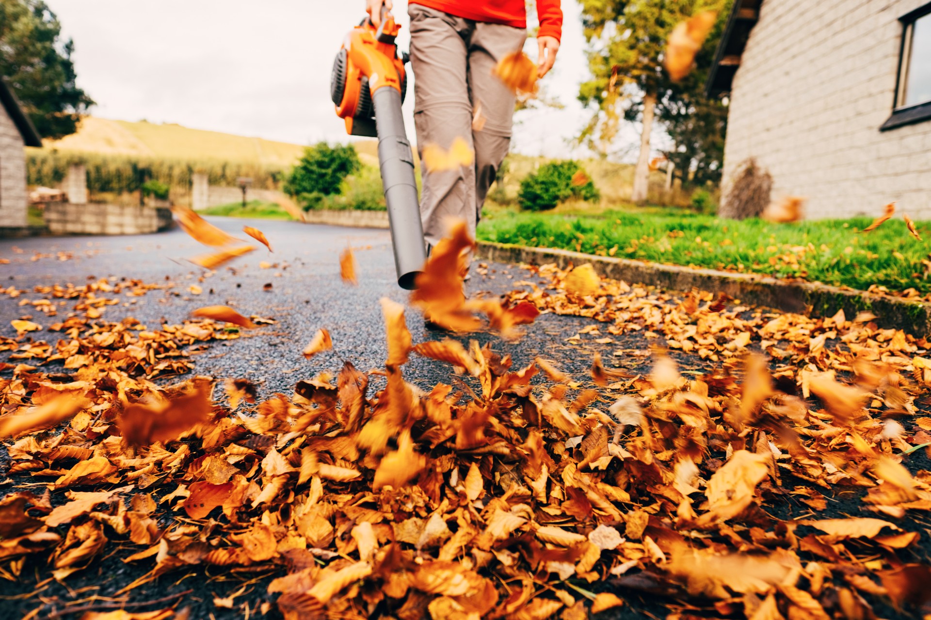 Leaf blower clearing driveway