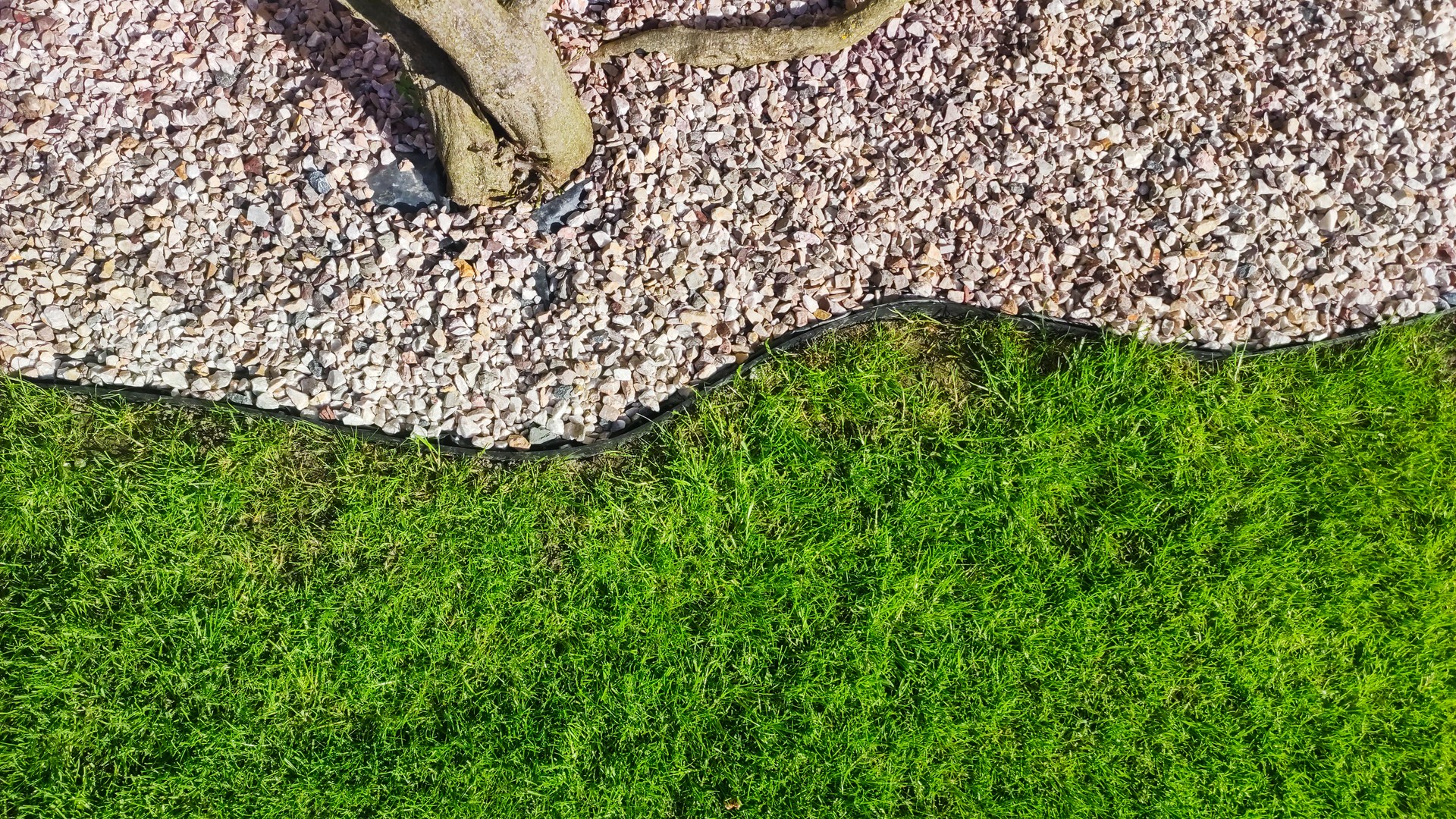 Well maintained garden lawn framed by decorative pebbles.